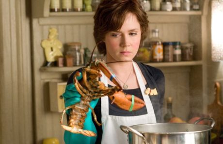 FOTO: Amy Adams ve filmu Julie a Julia