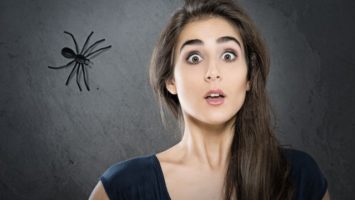 arachnofobie