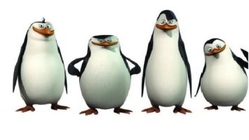 FOTO: Tučňáci z Madagaskaru