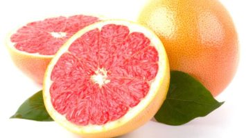 grepfruit-citrus
