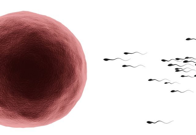 Zdroj: Shutterstock.com