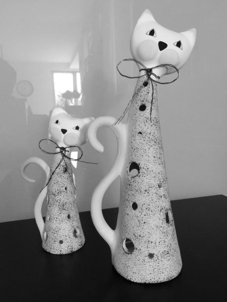 Kočka šedá mramorová