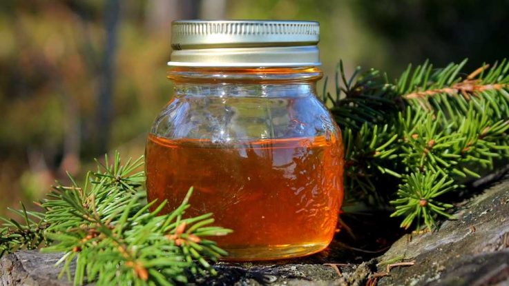 Smrkový sirup