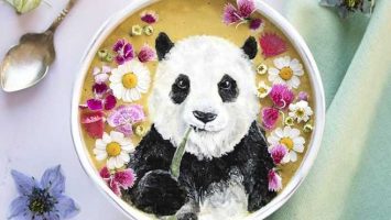 Obrázky na smoothie