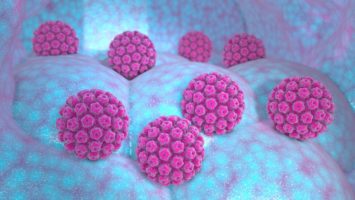 Papillomavirus