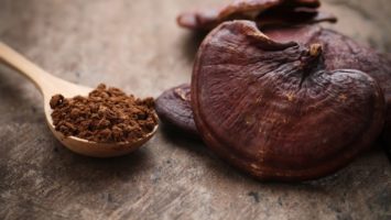 Reishi proti koronaviru