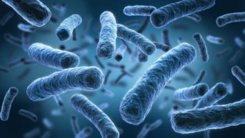 Legionella