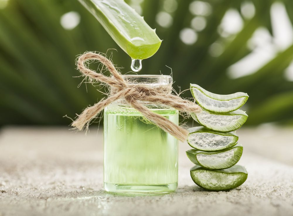 va z aloe vera. Na co vechno ji pout a je skuten bezpen? -  WomanOnly