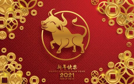 Rok Buvola čínský nový rok