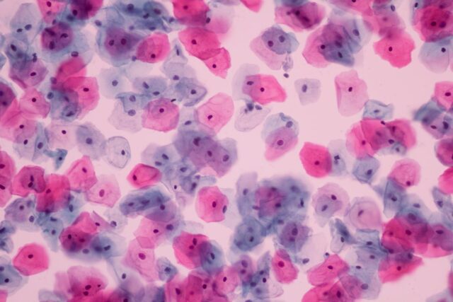 Cytologie