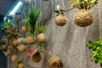 Kokedama