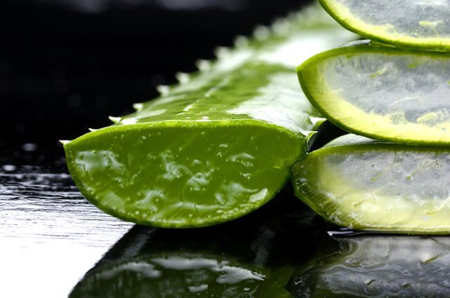 aloe_vera_shutterstock_35741473