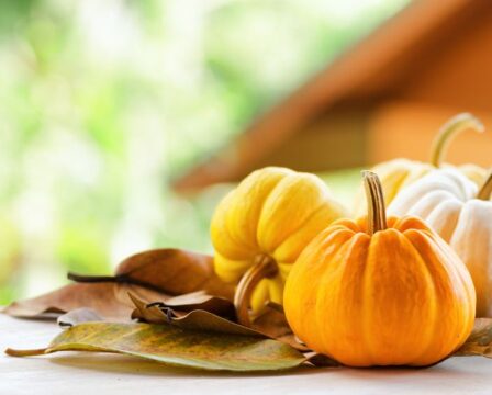 dyne_2_shutterstock_141564328