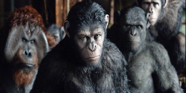 FOTO: Úsvit planety opic