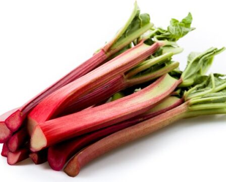 Recept na rebarborový koláč či buchtu.