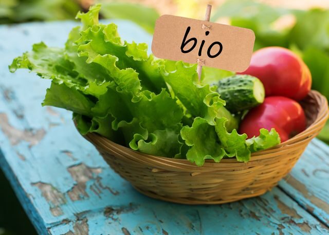 biopotraviny-salat-okurka-rajce