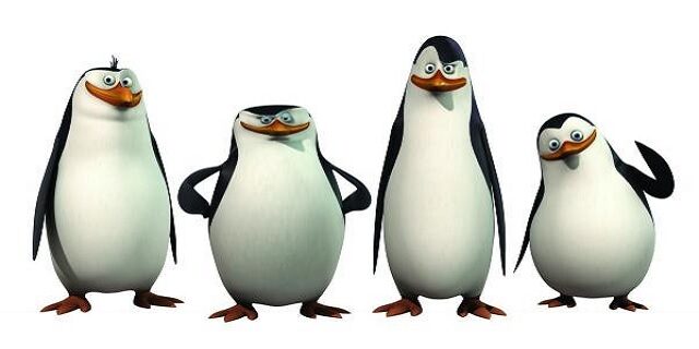 FOTO: Tučňáci z Madagaskaru