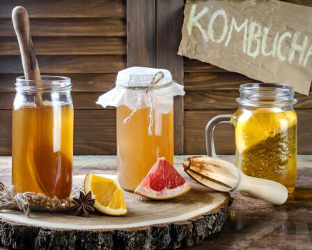 Kombucha příprava a účinky