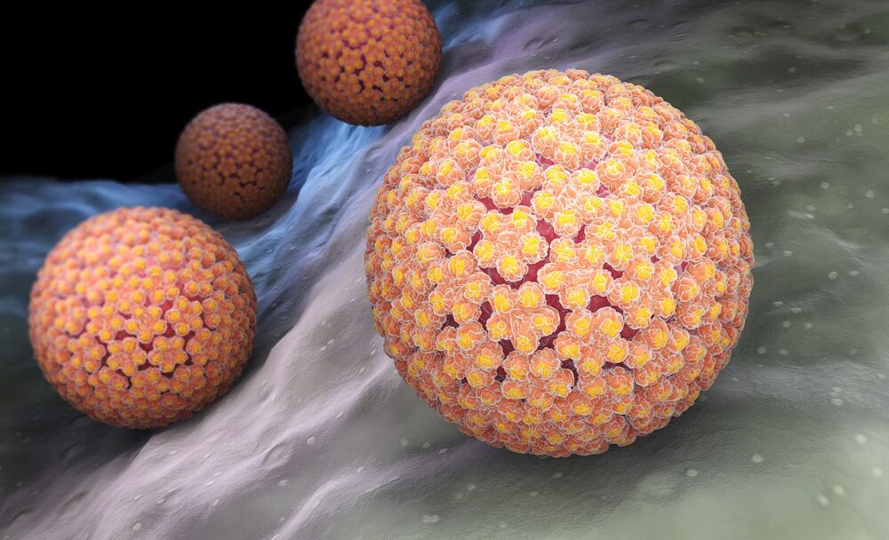 HPV virus