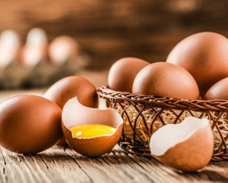 Jak poznat čerstvé vejce