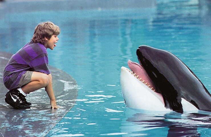 FOTO: Zachraňte Willyho