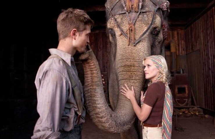 FOTO: Voda pro slony