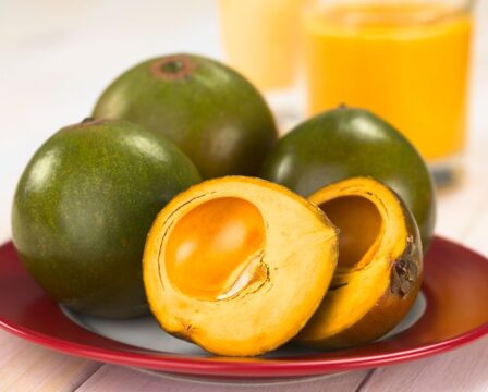 Lucuma