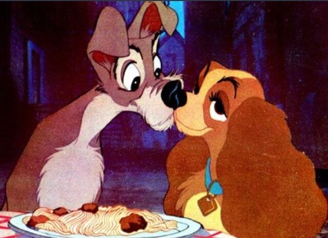 FOTO: Lady a Tramp