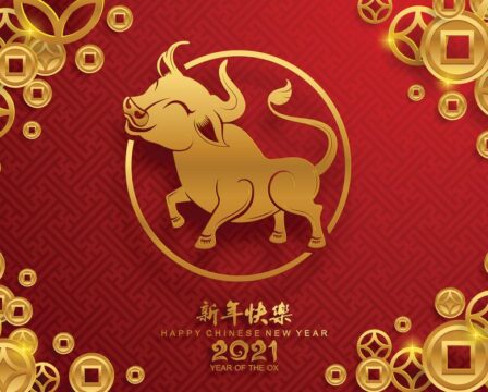 Rok Buvola čínský nový rok