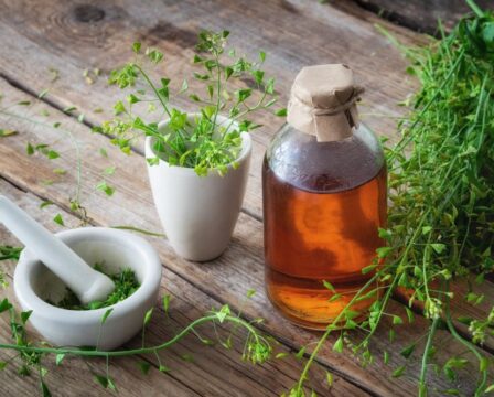 Kokoška pastuší tobolka, Capsella bursa-pastoris