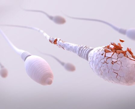 Spermicidy