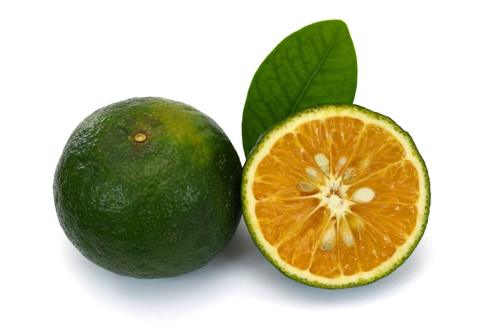 Tangerinka