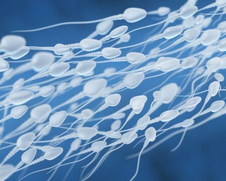 Covid a spermie
