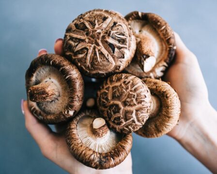 shiitake